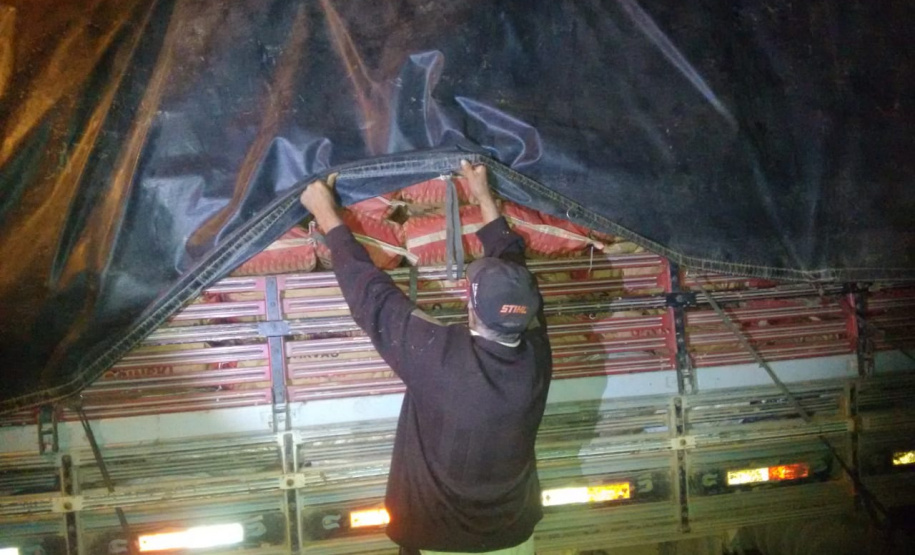 Polícia Ambiental prende seis pessoas e apreende duas toneladas de carvão e três balões, em ações distintas na RMC