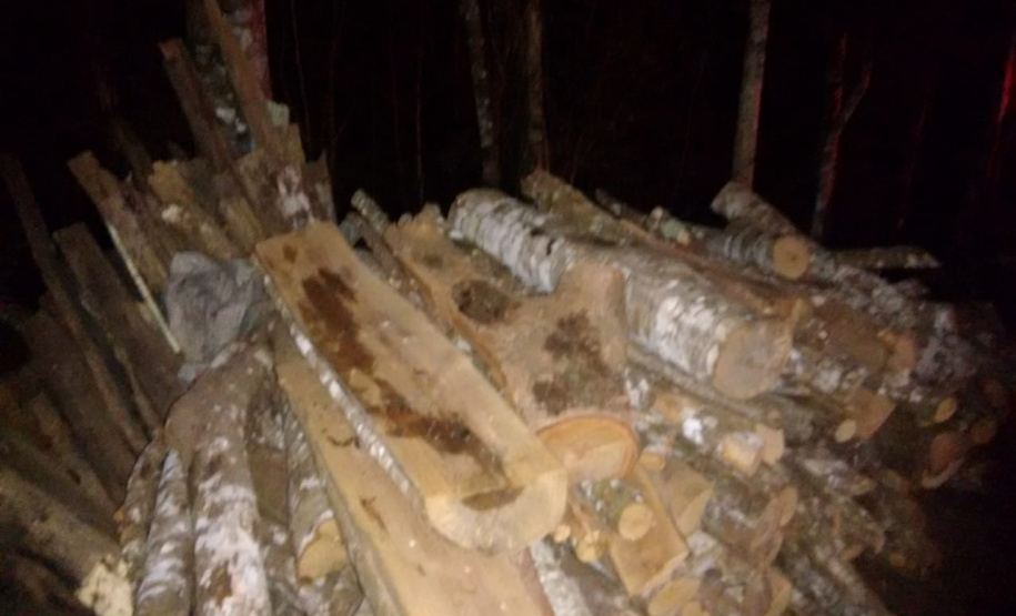 Polícia Ambiental prende seis pessoas e apreende duas toneladas de carvão e três balões, em ações distintas na RMC