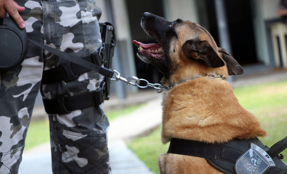Cães do Bope se aposentam após 9 anos de atuação