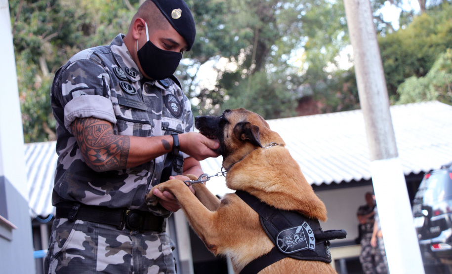 Cães do Bope se aposentam após 9 anos de atuação