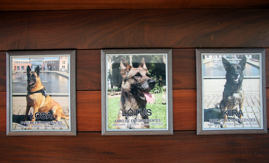 Cães do Bope se aposentam após 9 anos de atuação