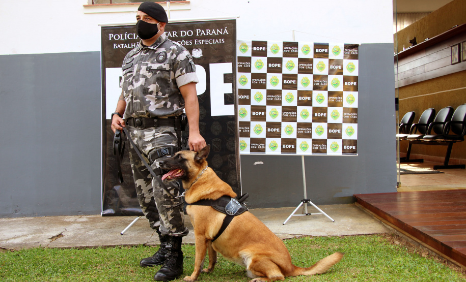 Cães do Bope se aposentam após 9 anos de atuação