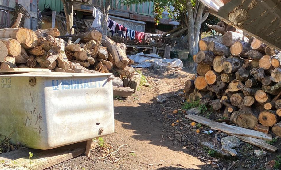 PCPR resgata dois cavalos em situação de maus-tratos em Palmeira
