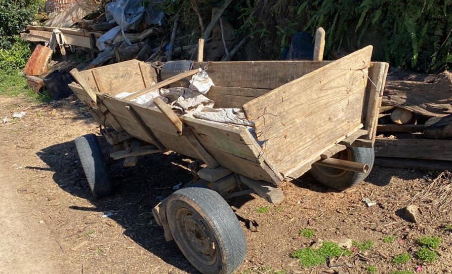 PCPR resgata dois cavalos em situação de maus-tratos em Palmeira