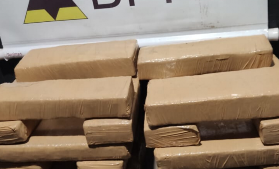 Durante feriado de Corpus Christi, BPRv retira de circulação mais de R$ 500mil em maconha no Paraná