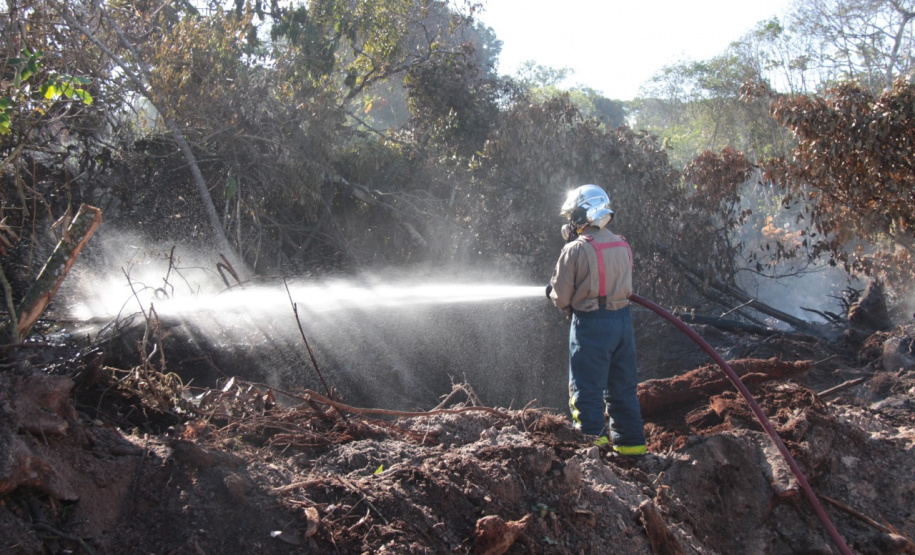 PCPR já identificou mais de 50 autores de queimadas em Guaratuba