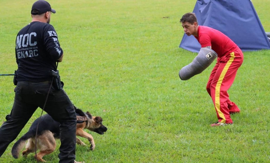 PCPR participa de treinamento integrado de cães policiais em Pato Branco