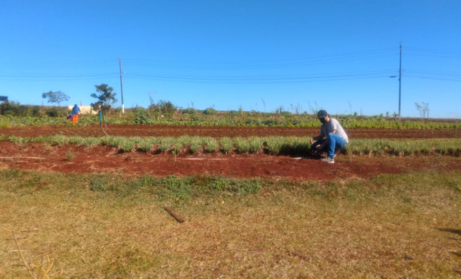Horta da PIC ganha conceito de reaproveitamento e sustentabilidade