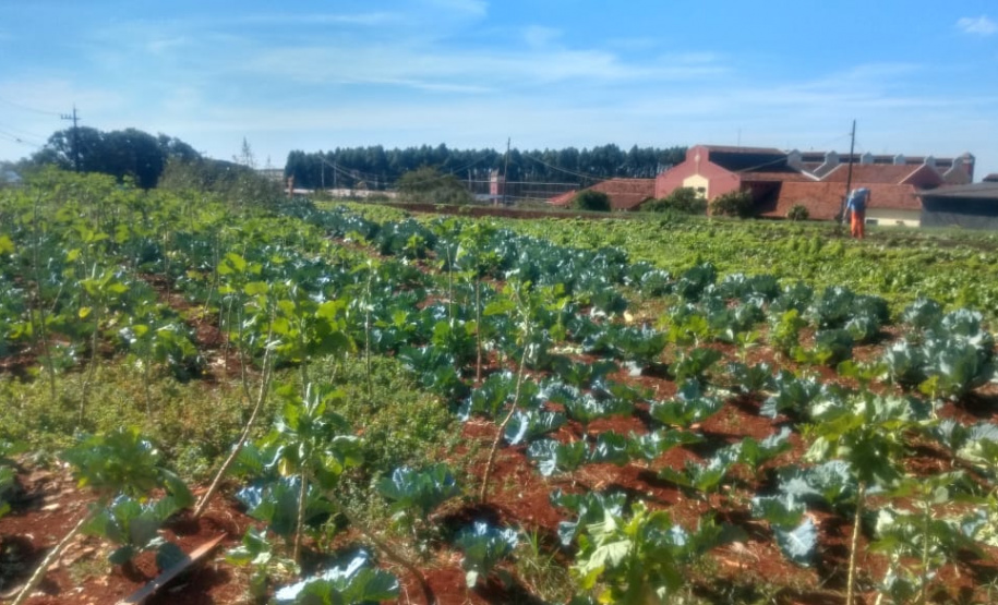 Horta da PIC ganha conceito de reaproveitamento e sustentabilidade