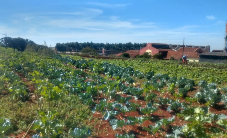 Horta da PIC ganha conceito de reaproveitamento e sustentabilidade