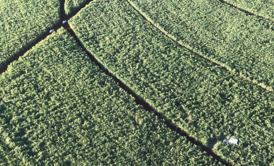 Poucas horas após o crime, helicóptero da PM localiza veículo furtado em Londrina, norte do Paraná