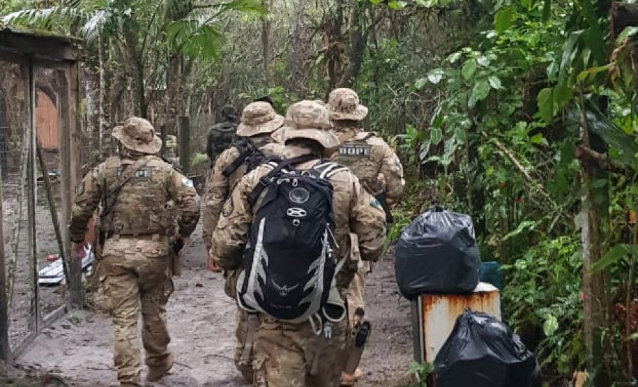 Polícia Ambiental fiscaliza área de preservação permanente na Ilha do Mel, no litoral do Paraná