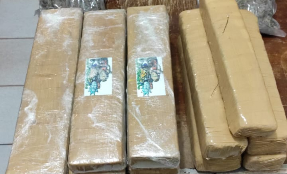 No Noroeste do estado PM apreende 15 quilos de maconha e um quilo de semente da droga em ônibus de viagem