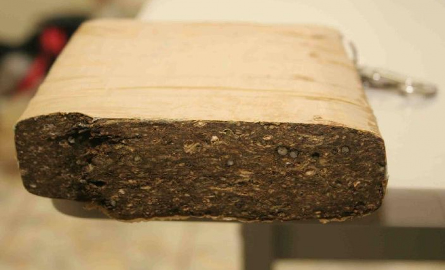 Mais de uma tonelada de maconha é apreendida pela PM em Foz do Iguaçu (PR)