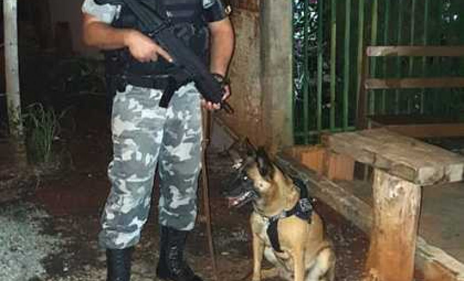 Polícia prende envolvidos com tráfico e lavagem de dinheiro