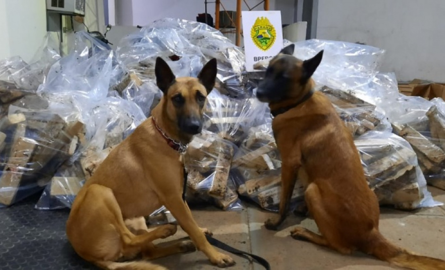 BPFron completa oito ano de combate ao tráfico de drogas e ao contrabando