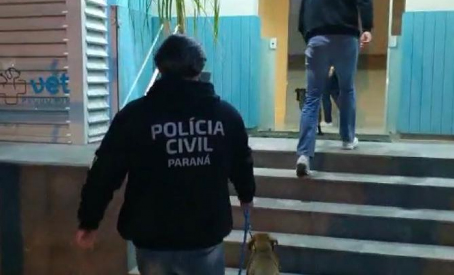 Polícia Civil autua médica veterinária por maus-tratos a Pitbulls