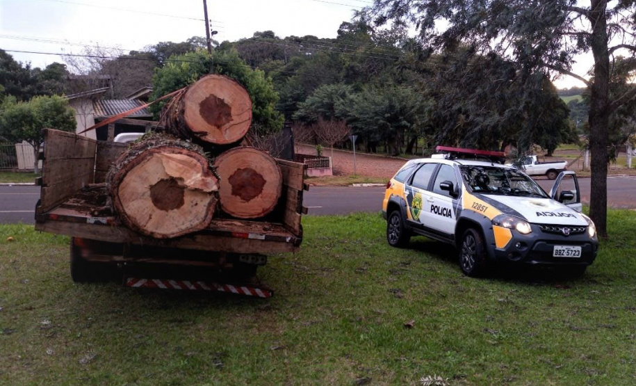 Carga de Pinheiro Araucária é apreendida pela PM no Sudoeste do estado