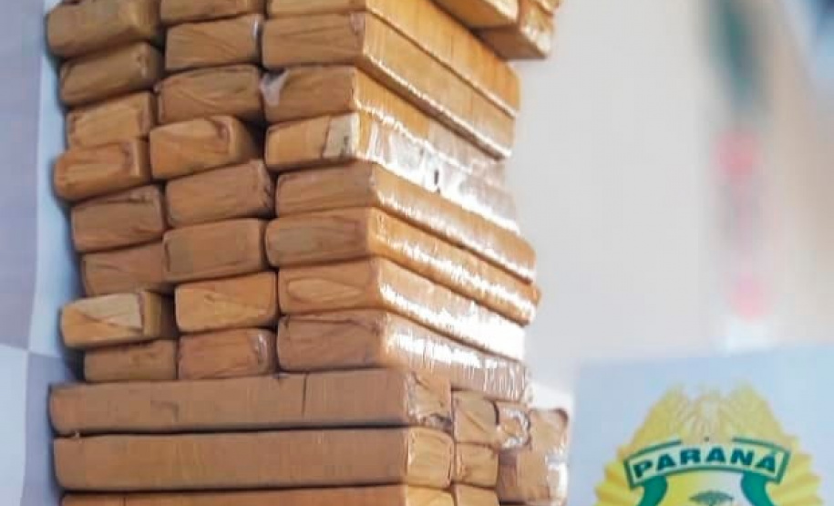 Com ajuda de cães, PM apreende mais de 38 toneladas de maconha