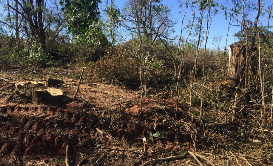 Polícia Ambiental flagra desmatamento e aplica R$ 9,7 mil em multas em Altônia (PR)