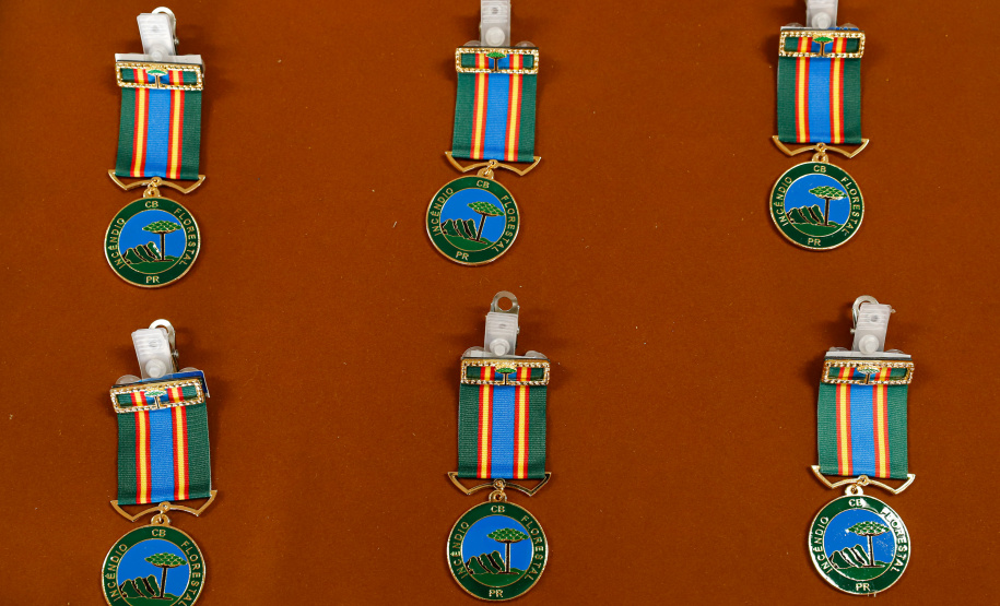 Governador e Secretário da Segurança agradecem trabalho dos bombeiros do Paraná