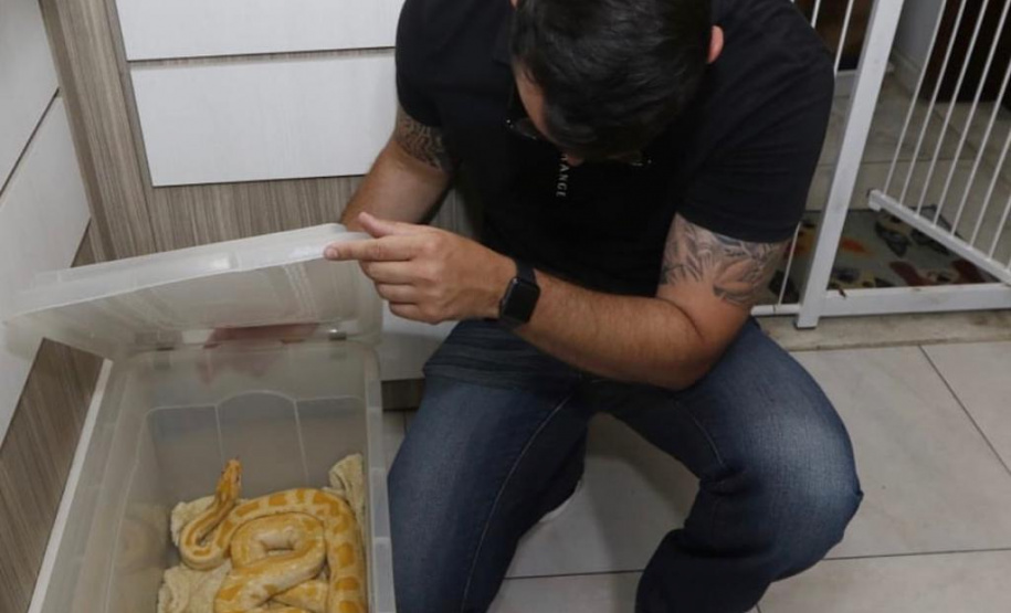 PCPR resgata cerca de 400 animais no primeiro semestre de 2020