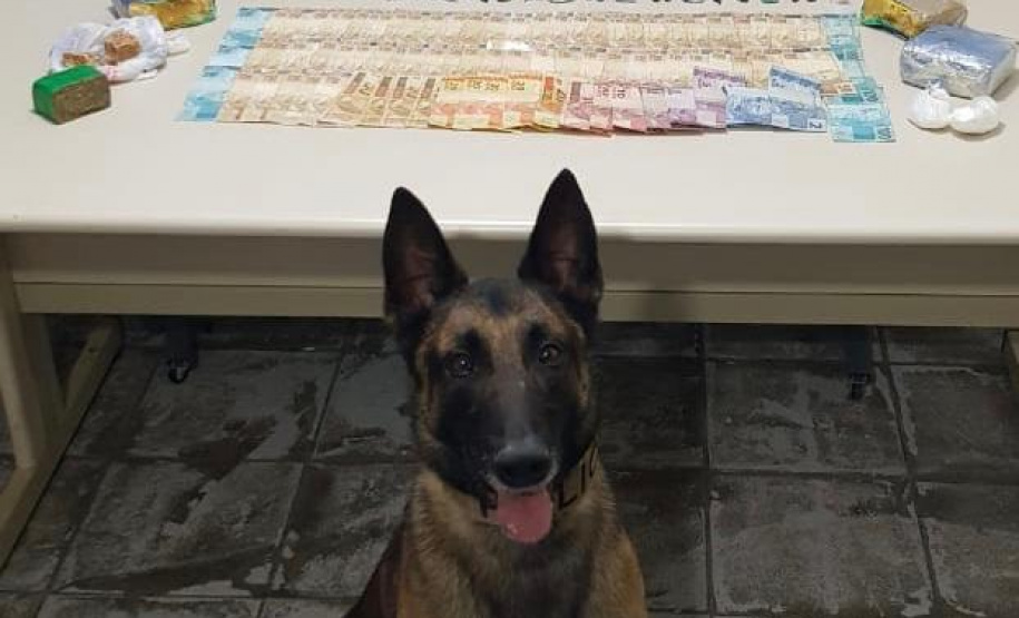 PCPR prende casal suspeito de vender drogas no Centro de Curitiba