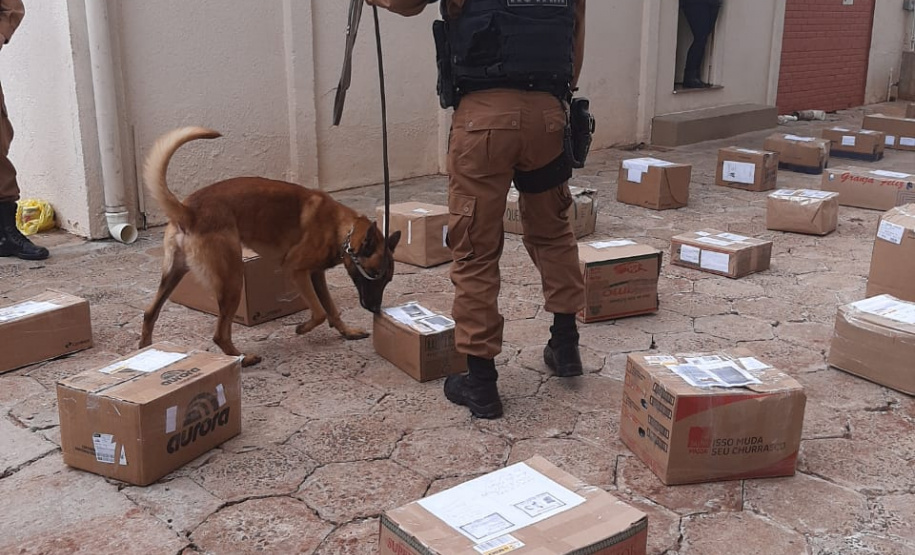 Depen e PM apreendem maconha, cocaína e LSD que seriam entregues a preso de Francisco Beltrão