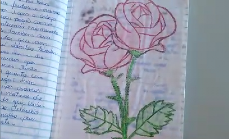 Em tempos de pandemia, presas de Foz do Iguaçu têm novos meios de expressar sentimentos