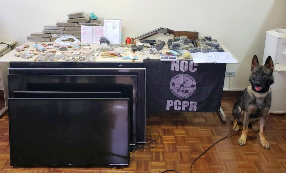 Cães apreendem mais drogas neste ano que a soma de 2018 e 2019