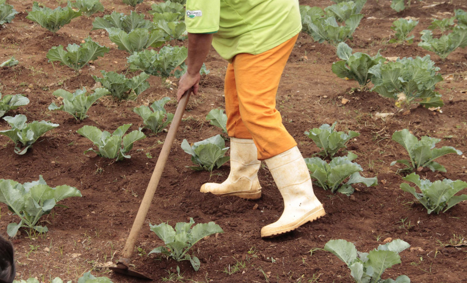 Paraná recebe selo nacional por oferta de atividades profissionais aos presos