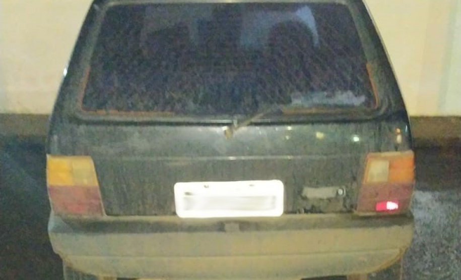 Carga de Pinheiro Araucária é apreendida pela PM no Sudoeste do estado