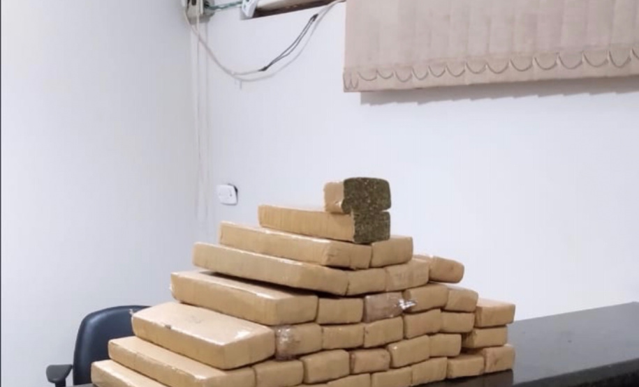 Com ajuda de cães, PM apreende mais de 38 toneladas de maconha