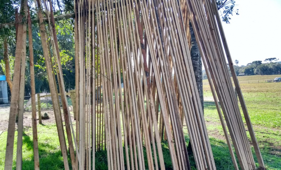 Polícia Ambiental aplica mais de R$ 243 mil em multas por destruição de vegetação nativa no Sudeste do estado