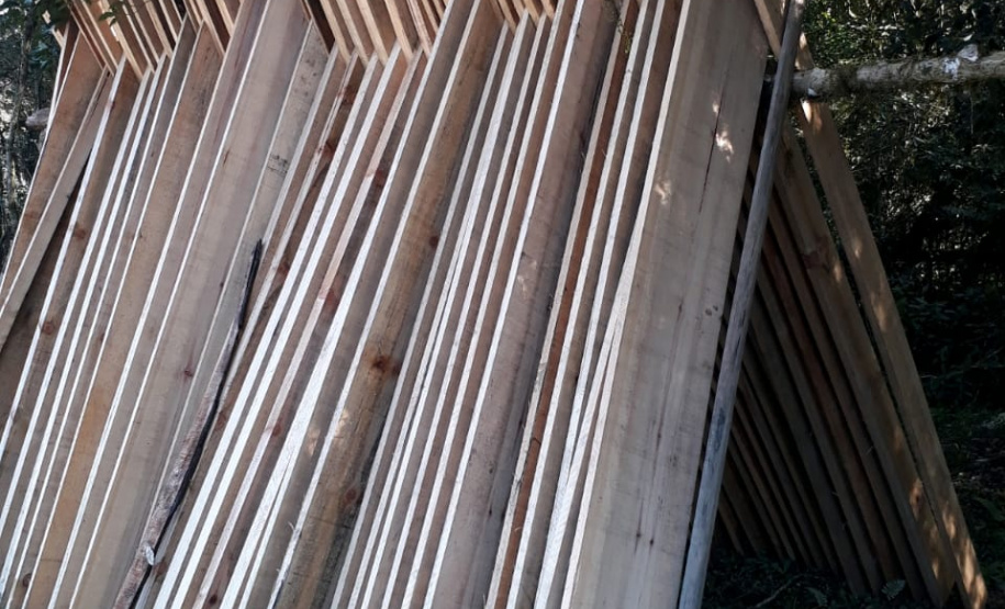 Polícia Ambiental aplica mais de R$ 243 mil em multas por destruição de vegetação nativa no Sudeste do estado