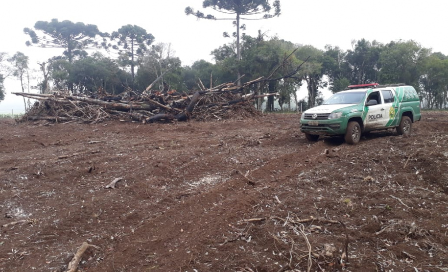 Polícia Ambiental aplica mais de R$ 243 mil em multas por destruição de vegetação nativa no Sudeste do estado
