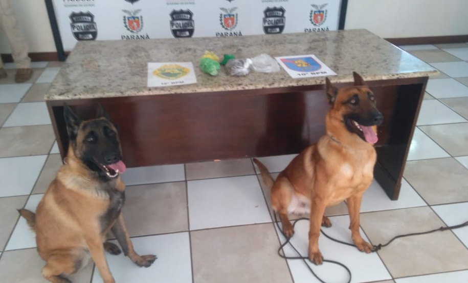 Cerca de R$ 80 mil em drogas é apreendida pela PM em Apucarana, no Norte do estado