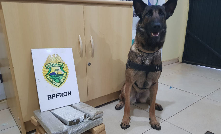 Operação policial faz 281 prisões e apreende drogas na fronteira