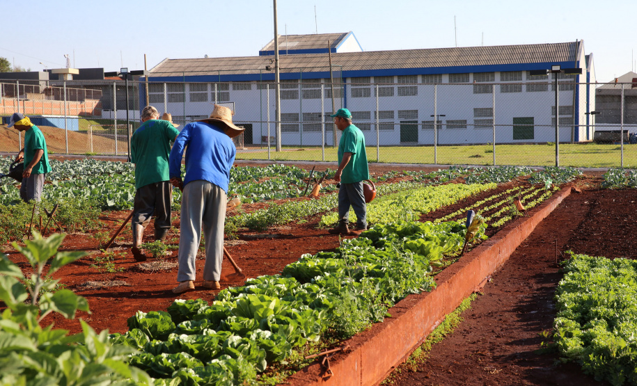 Maringá terá unidade prisional exemplo no País