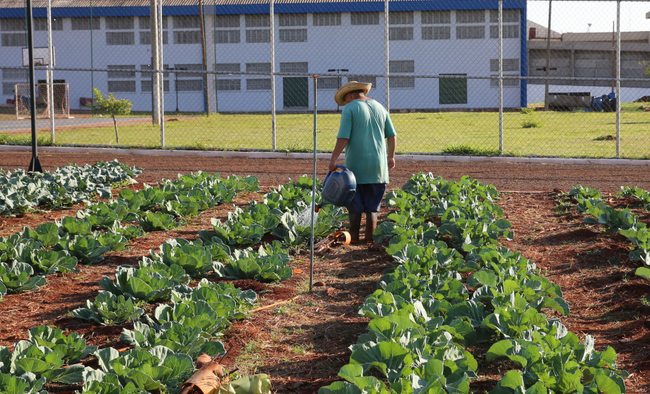 Maringá terá unidade prisional exemplo no País