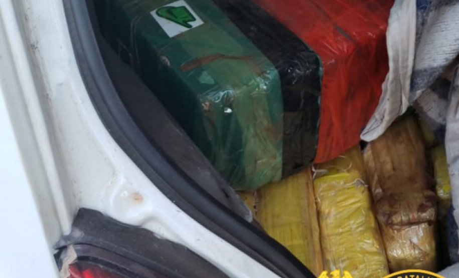 Mais de meia tonelada de maconha é apreendida em Toledo (PR) em abordagens distintas da PM