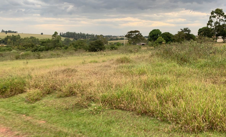 Políticas públicas de enfrentamento ao tráfico de drogas recebem reforço de R$ 100 mil