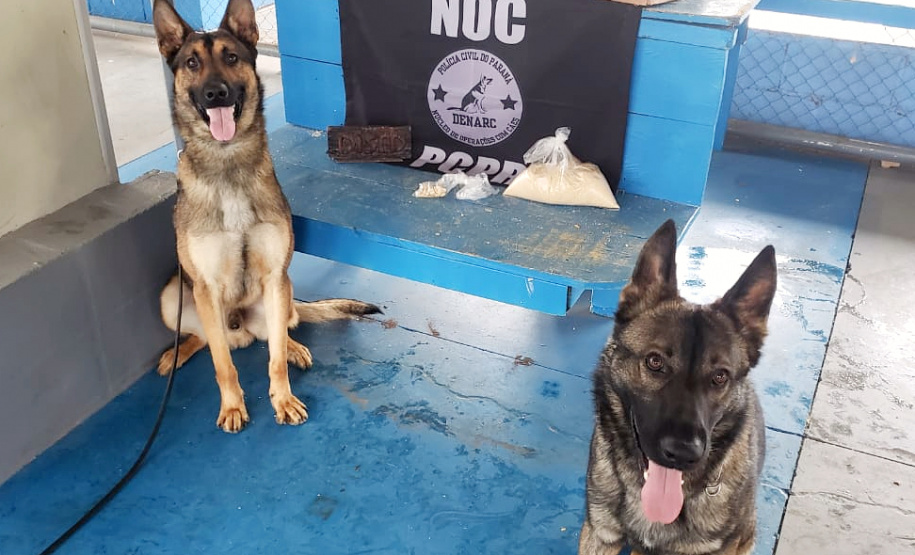 PCPR apreende cocaína escondida em farofa encaminhada a detentos