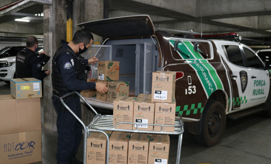 Segurança Pública repassa mais de 134 mil EPIs contra Covid-19 a Guardas Municipais do Paraná