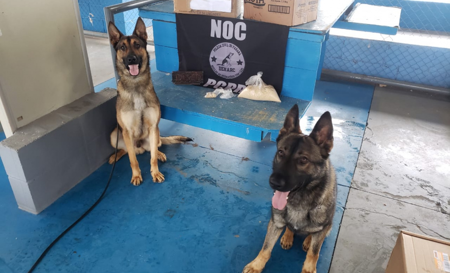 Familiar de preso envia 200 gramas de cocaína misturada à farinha Penitenciária de Francisco Beltrão