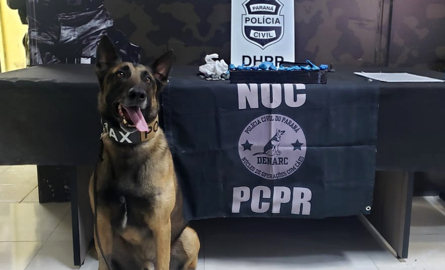 Polícia Civil prende três suspeitos de homicídio ocorrido após festa em motel de Curitiba