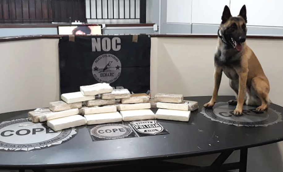 PCPR apreende dez quilos de cocaína e dez de crack em Curitiba
