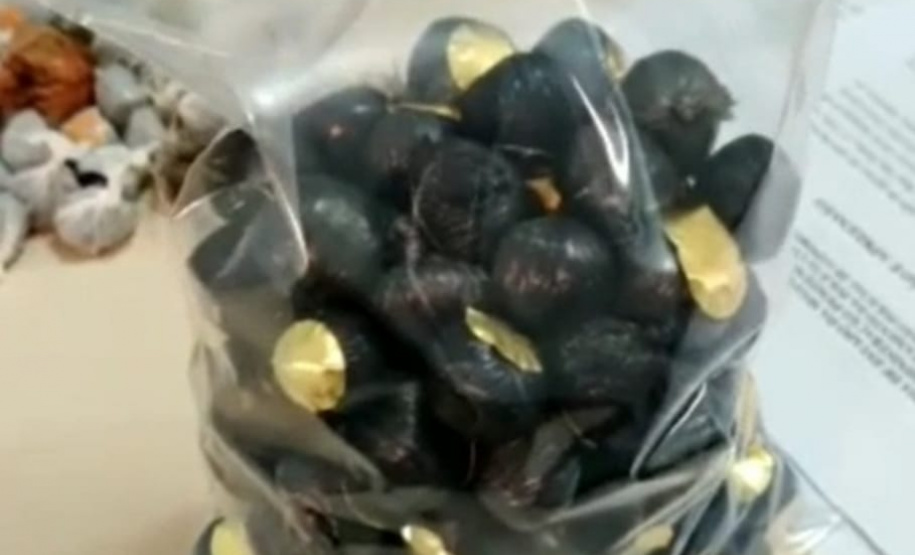 Em Londrina, PM apreende drogas, dinheiro e evita que ilícitos sejam jogados na PEL I em situações distintas