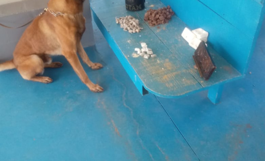 PFB e PM apreendem droga em encomendas enviadas a preso por Sedex