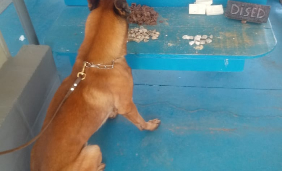 PFB e PM apreendem droga em encomendas enviadas a preso por Sedex